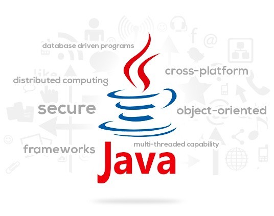 freelance software developer